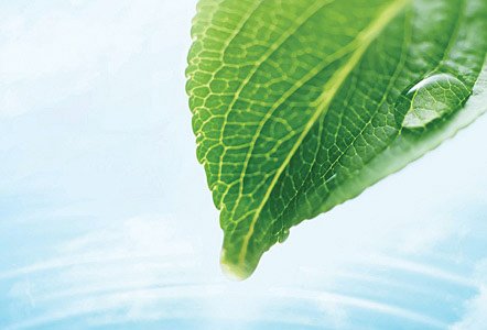 carrier-history-1906-first-central-air-conditioning-system-442x300